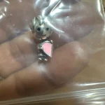 Hot Sale 925 Silver Chameleon Firefly Charm Fits Original Pandora Charm Bracelet Silver 925 Charm Beads DIY Boutique Jewelry photo review