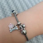 Hot Sale 925 Silver Chameleon Firefly Charm Fits Original Pandora Charm Bracelet Silver 925 Charm Beads DIY Boutique Jewelry photo review