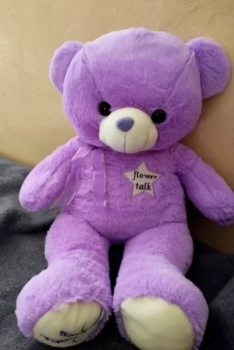 35/80cm Cute Purple Bear Plush Toys High Quality Stuffed Lovely Animals Bear Dolls for Classmate Kids Graduation Gifts photo review