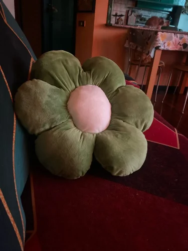 New Born Baby Girls Children Playmate Cushion Lifelike Flower Shaped Mat Plush Toys Stuffed Soft Plant Flowers Plush Pillow photo review