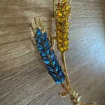 Beaut&Berry Trendy Ear of Wheat Brooches for Women Rhinestone Blue and Yellow Plant Pins 5-Color Unisex Casual Accessories Gifts photo review