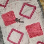 Hot Sale 925 Silver Chameleon Firefly Charm Fits Original Pandora Charm Bracelet Silver 925 Charm Beads DIY Boutique Jewelry photo review