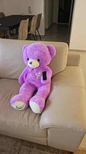 35/80cm Cute Purple Bear Plush Toys High Quality Stuffed Lovely Animals Bear Dolls for Classmate Kids Graduation Gifts photo review