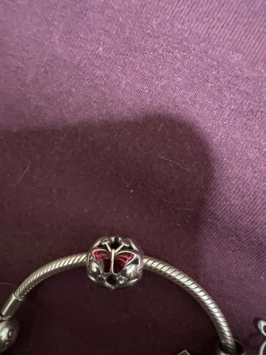 Hot Sale 925 Silver Chameleon Firefly Charm Fits Original Pandora Charm Bracelet Silver 925 Charm Beads DIY Boutique Jewelry photo review