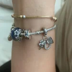 Hot Sale 925 Silver Chameleon Firefly Charm Fits Original Pandora Charm Bracelet Silver 925 Charm Beads DIY Boutique Jewelry photo review