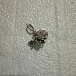 Hot Sale 925 Silver Chameleon Firefly Charm Fits Original Pandora Charm Bracelet Silver 925 Charm Beads DIY Boutique Jewelry photo review