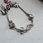 Hot Sale 925 Silver Chameleon Firefly Charm Fits Original Pandora Charm Bracelet Silver 925 Charm Beads DIY Boutique Jewelry photo review