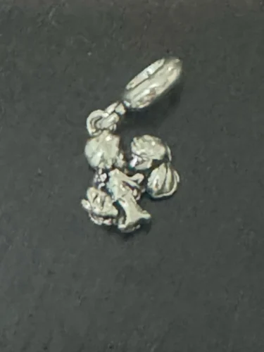 Hot Sale 925 Silver Chameleon Firefly Charm Fits Original Pandora Charm Bracelet Silver 925 Charm Beads DIY Boutique Jewelry photo review