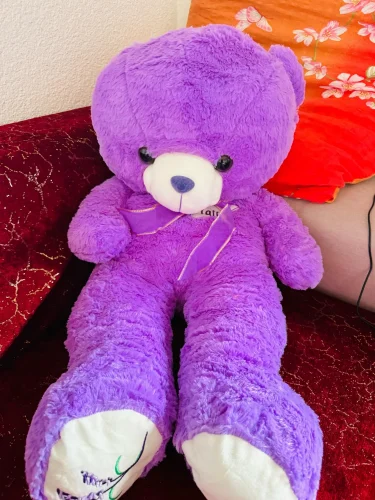 35/80cm Cute Purple Bear Plush Toys High Quality Stuffed Lovely Animals Bear Dolls for Classmate Kids Graduation Gifts photo review